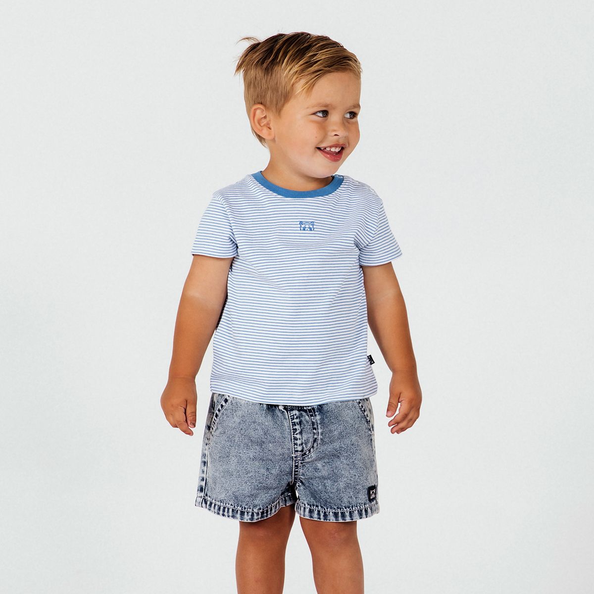 Animal Crackers Shorts | Amplified Denim