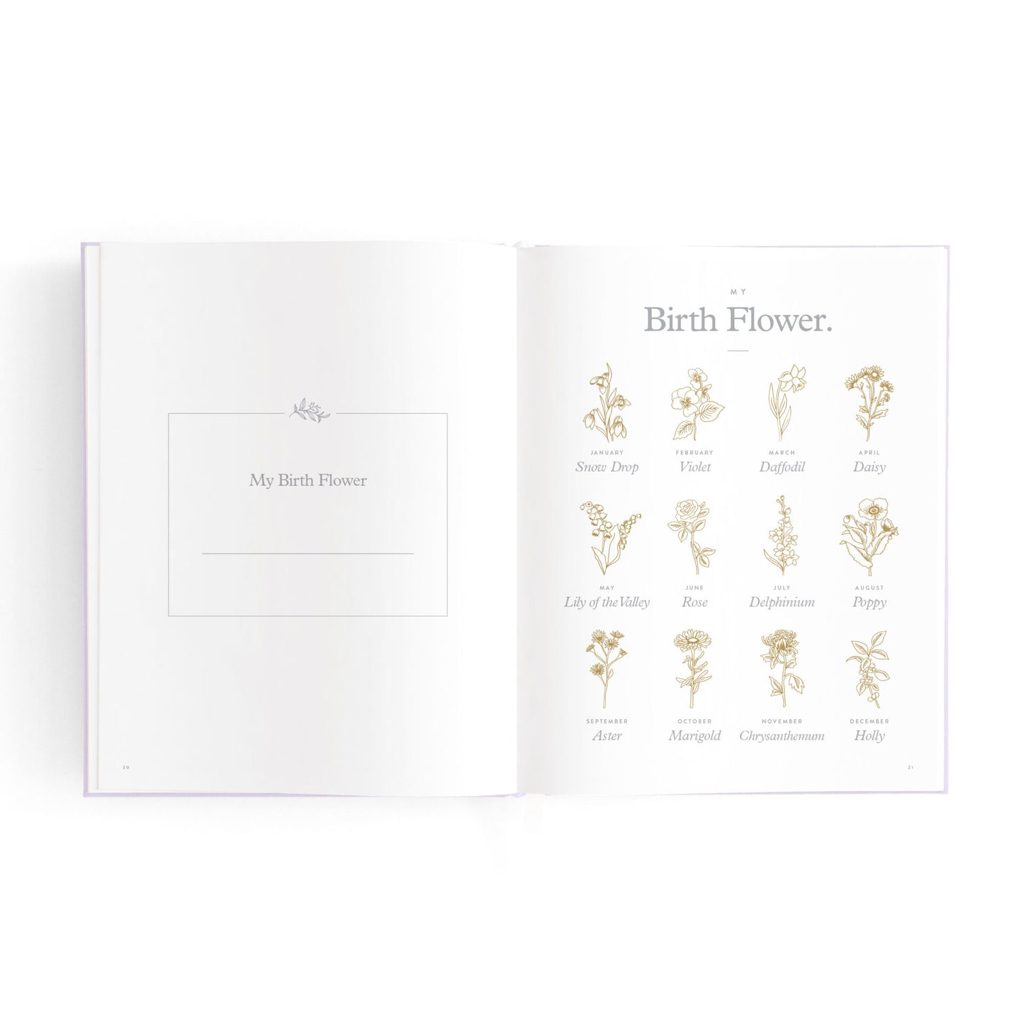 Baby Book | Fox & Fallow Powder