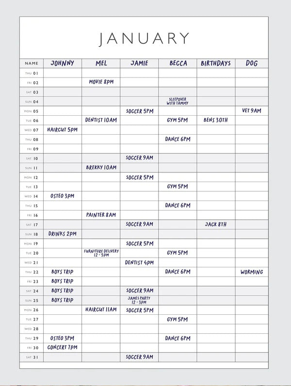 Write to Me 2026 Wall Planner  |  Family Chaos