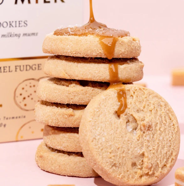Made to Milk Lactation Cookies  |  Salted Caramel Fudge