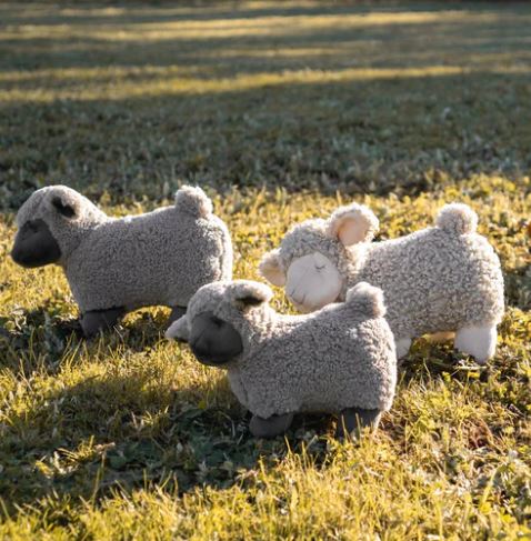 Nana Huchy Lucy Lamb Black