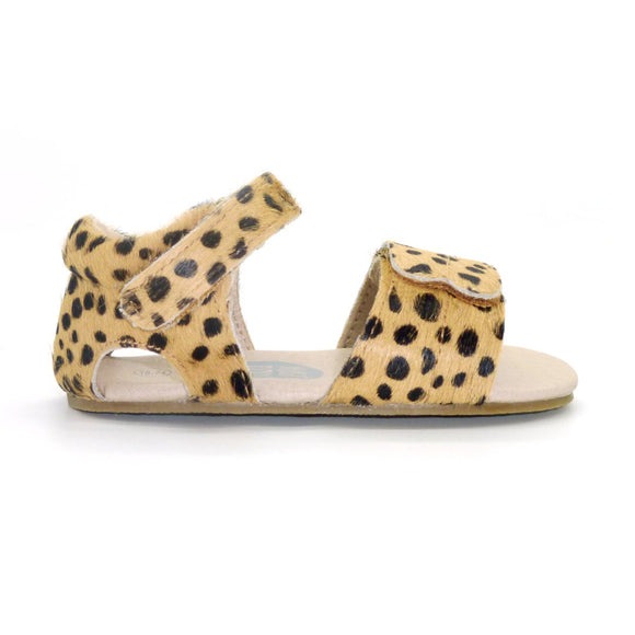 Just Ray Shoes  |  Dusi Sandal  |  Leopard