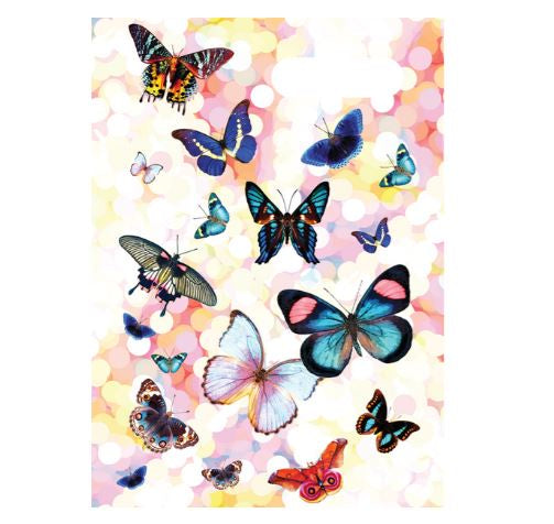 Book Cover A4  |  Butterflies