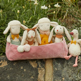 Soft Toy  |  Polly Sheep