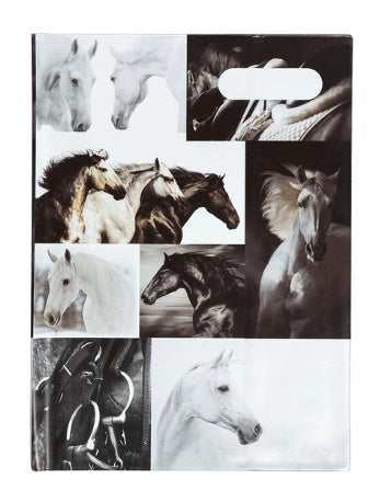Book Cover Scrapbook  |  BW Horses 4