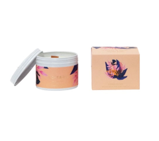 Light & Glo Artist Collection Tin Candle  |  Coral Plush
